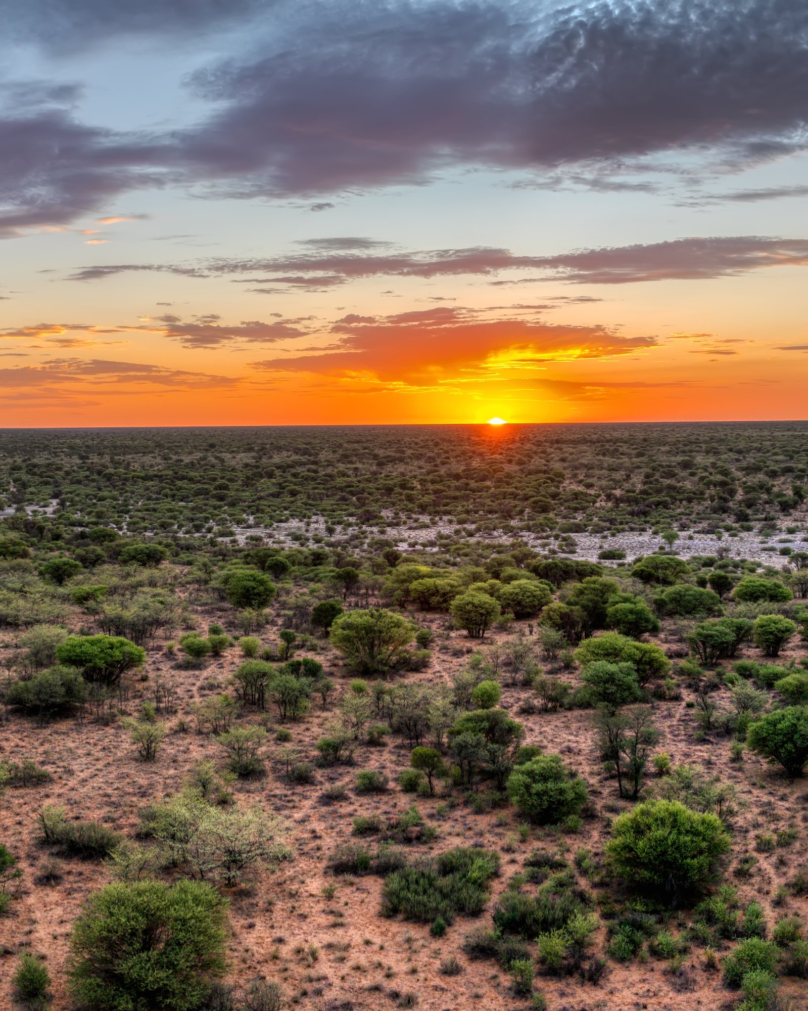 Botswana Project Image for Web Page